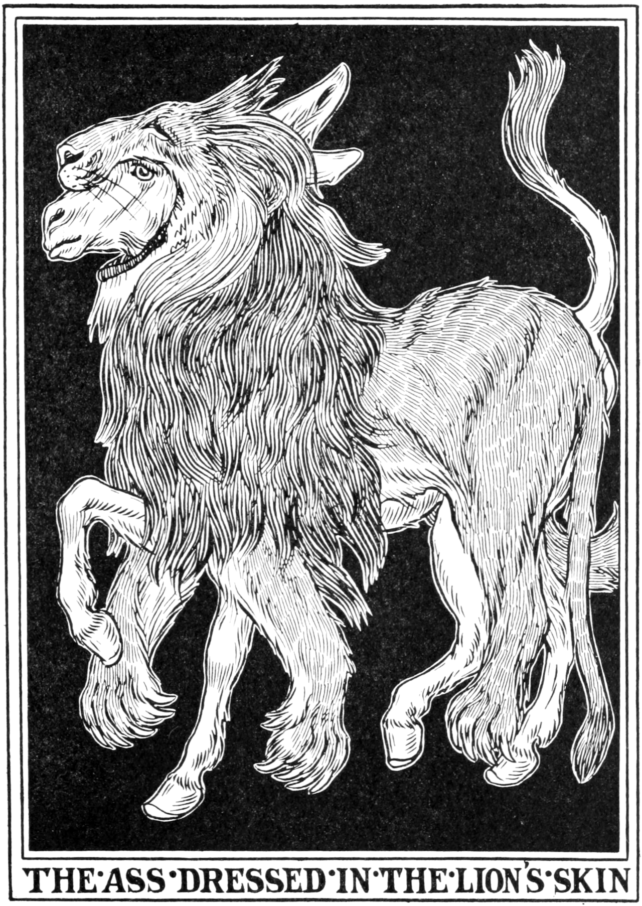 The Ass in the Lion's Skin
